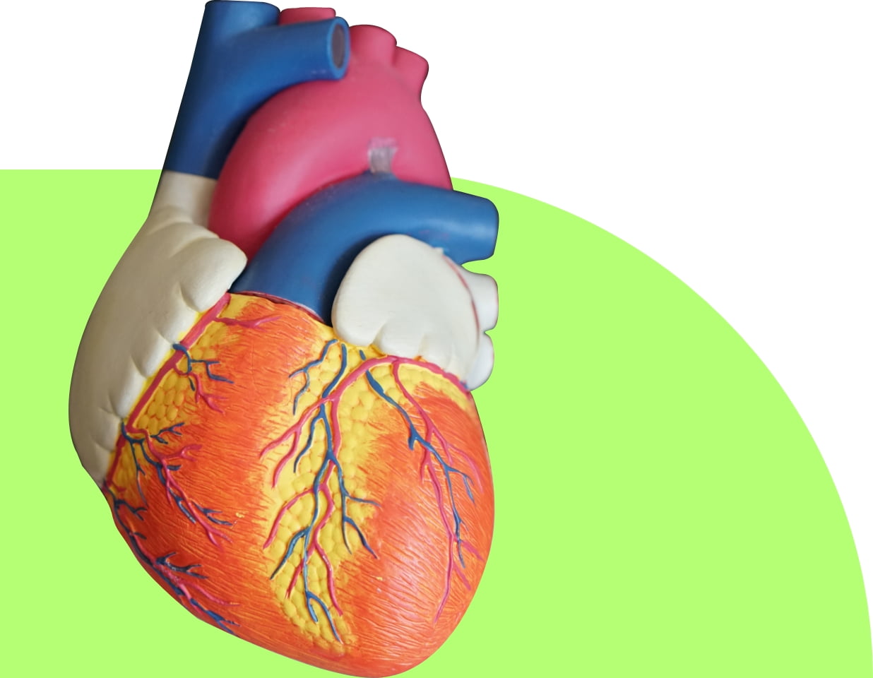 Diabete Heart